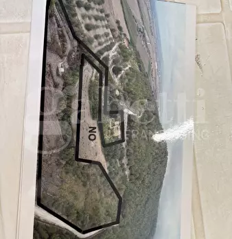 Foto annuncio 22