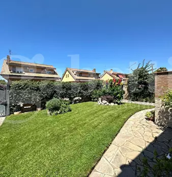 Foto annuncio 6