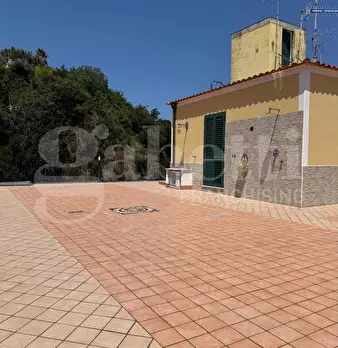 Foto annuncio 17
