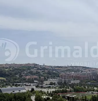 Foto annuncio 26