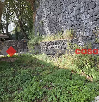 Foto annuncio 29
