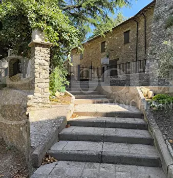 Foto annuncio 5