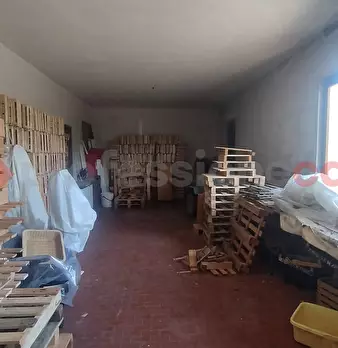 Foto annuncio 19