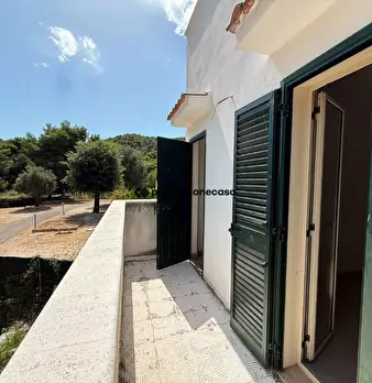 Foto annuncio 28