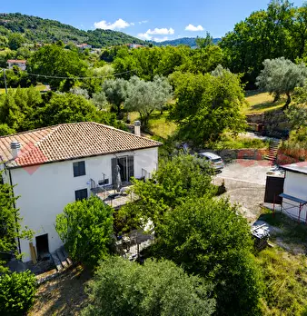 Foto annuncio 21