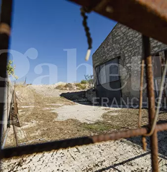 Foto annuncio 21