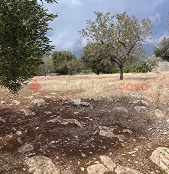 Foto annuncio 20