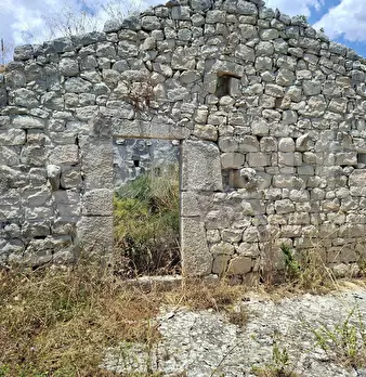 Foto annuncio 13