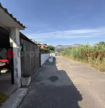Foto annuncio 36