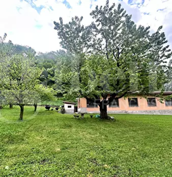 Foto annuncio 11
