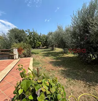 Foto annuncio 41