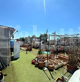 Foto annuncio 18
