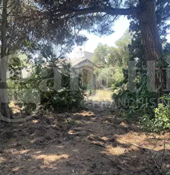 Foto annuncio 19
