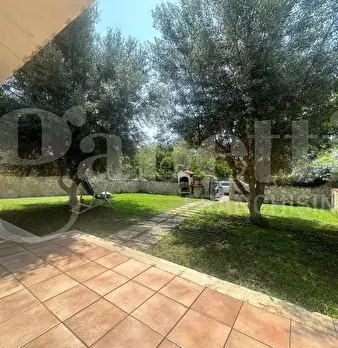 Foto annuncio 4