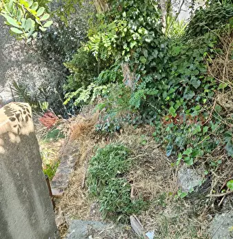 Foto annuncio 19