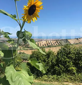 Foto annuncio 32