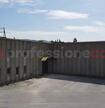 Foto annuncio 11