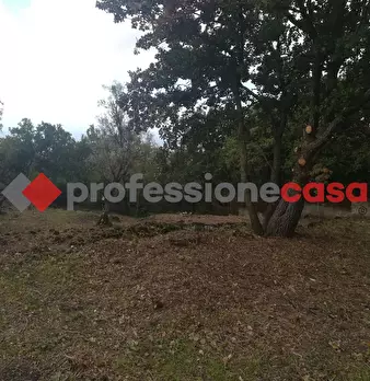 Foto annuncio 11