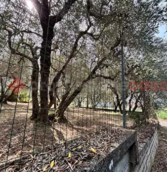 Foto annuncio 37