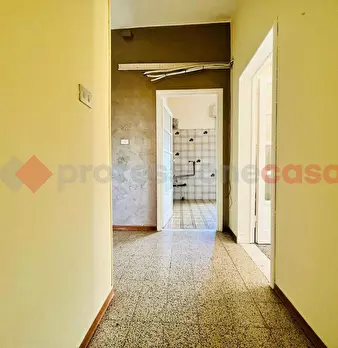 Foto annuncio 7