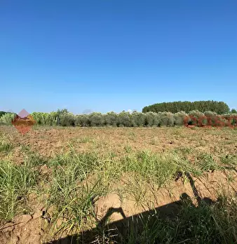 Foto annuncio 27
