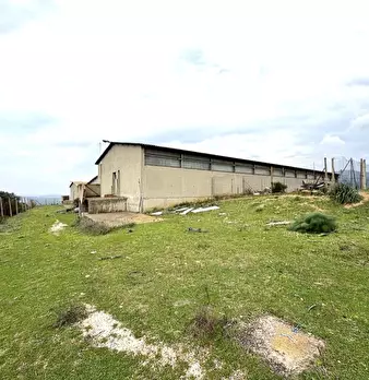 Foto annuncio 10
