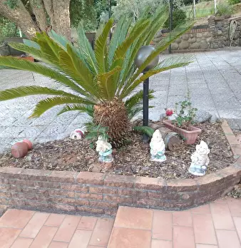 Foto annuncio 35