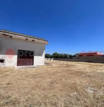 Foto annuncio 2