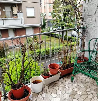 Foto annuncio 29