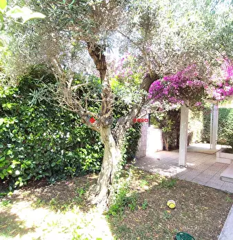 Foto annuncio 34