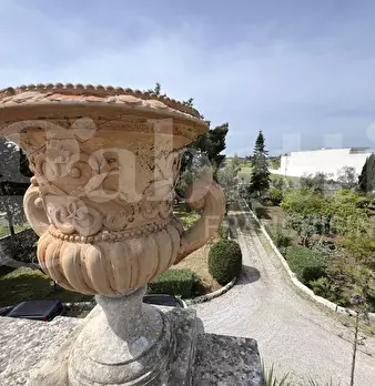 Foto annuncio 35