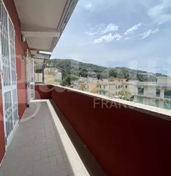 Foto annuncio 26