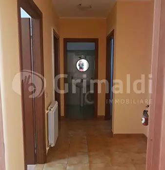 Foto annuncio 31