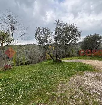 Foto annuncio 12