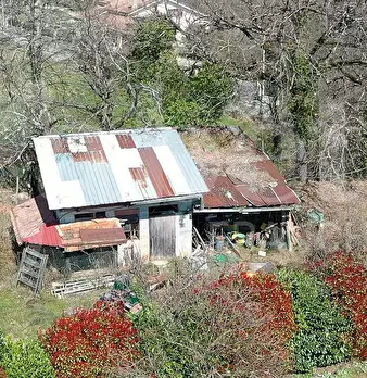 Foto annuncio 2