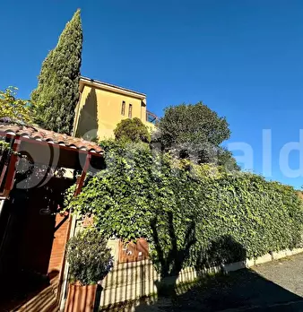 Foto annuncio 9