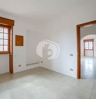 Foto annuncio 19
