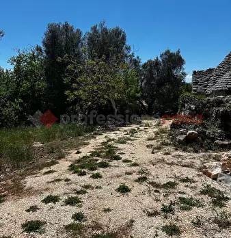 Foto annuncio 7