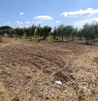 Foto annuncio 12