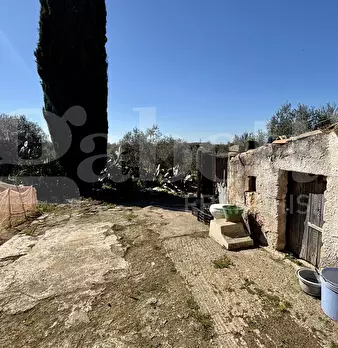 Foto annuncio 21