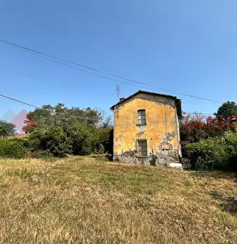 Foto annuncio 6