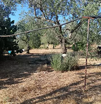 Foto annuncio 3