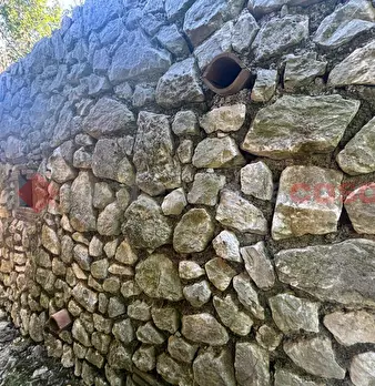 Foto annuncio 17