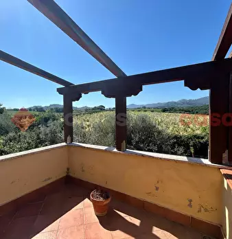 Foto annuncio 24
