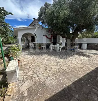 Foto annuncio 10