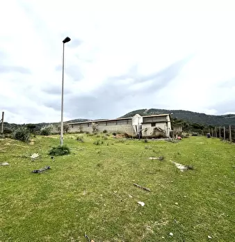 Foto annuncio 11