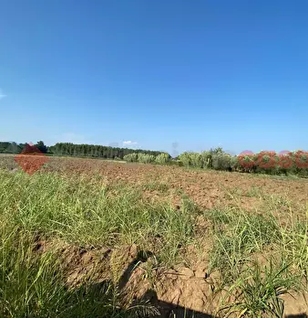 Foto annuncio 28