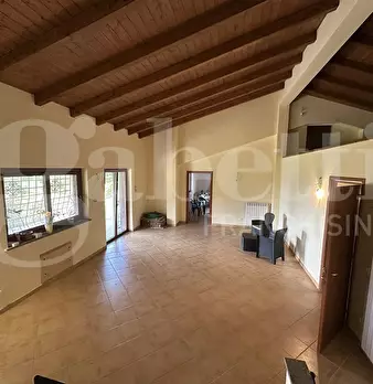 Foto annuncio 26