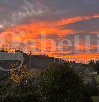 Foto annuncio 38