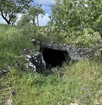 Foto annuncio 11